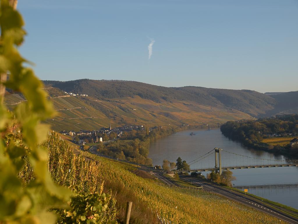 Wein- Und Landhaus S A Pruem Hotel Bernkastel-Kues Luaran gambar