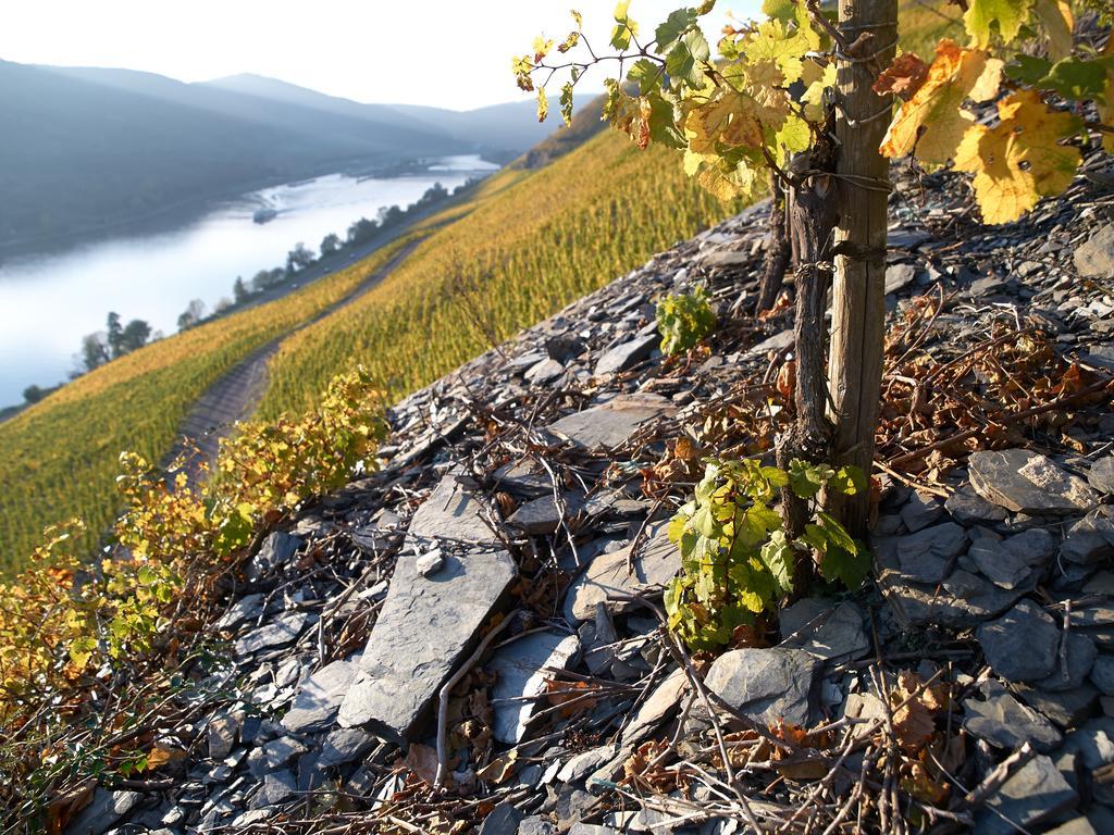 Wein- Und Landhaus S A Pruem Hotel Bernkastel-Kues Luaran gambar