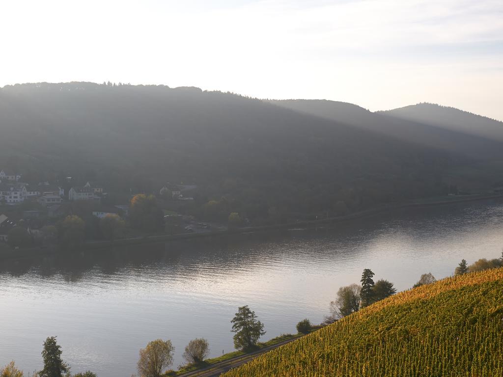 Wein- Und Landhaus S A Pruem Hotel Bernkastel-Kues Luaran gambar