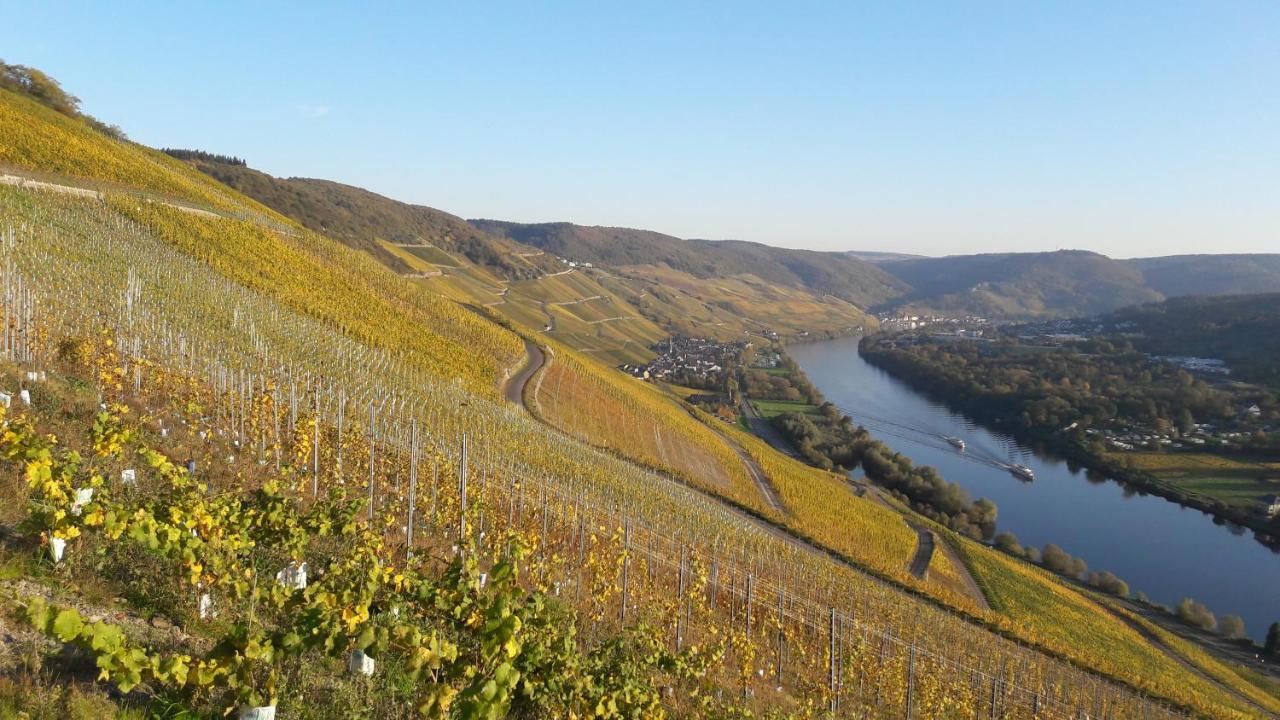 Wein- Und Landhaus S A Pruem Hotel Bernkastel-Kues Luaran gambar