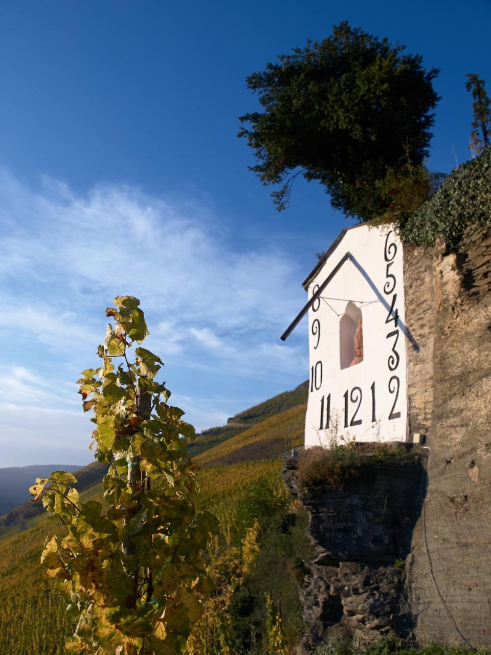 Wein- Und Landhaus S A Pruem Hotel Bernkastel-Kues Luaran gambar