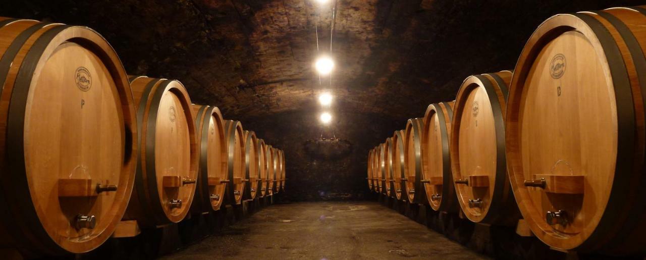 Wein- Und Landhaus S A Pruem Hotel Bernkastel-Kues Luaran gambar